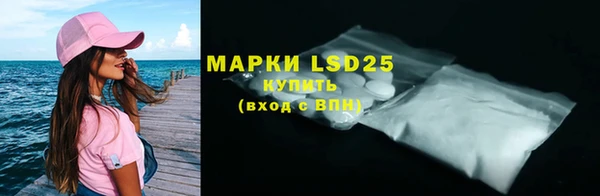 ПСИЛОЦИБИНОВЫЕ ГРИБЫ Бородино