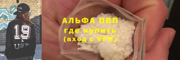 ПСИЛОЦИБИНОВЫЕ ГРИБЫ Бородино