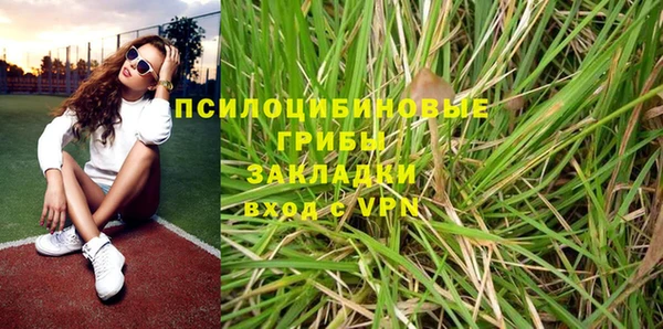 ПСИЛОЦИБИНОВЫЕ ГРИБЫ Бородино