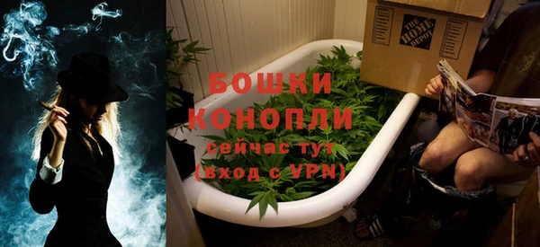 ПСИЛОЦИБИНОВЫЕ ГРИБЫ Бородино