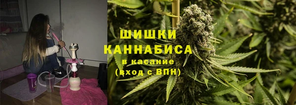 ПСИЛОЦИБИНОВЫЕ ГРИБЫ Бородино