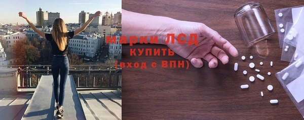 ПСИЛОЦИБИНОВЫЕ ГРИБЫ Бородино